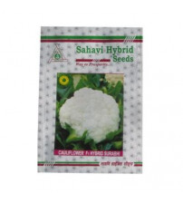 Cauliflower Surabhi 10 grams
